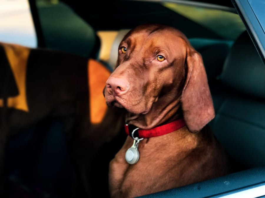 Car seats